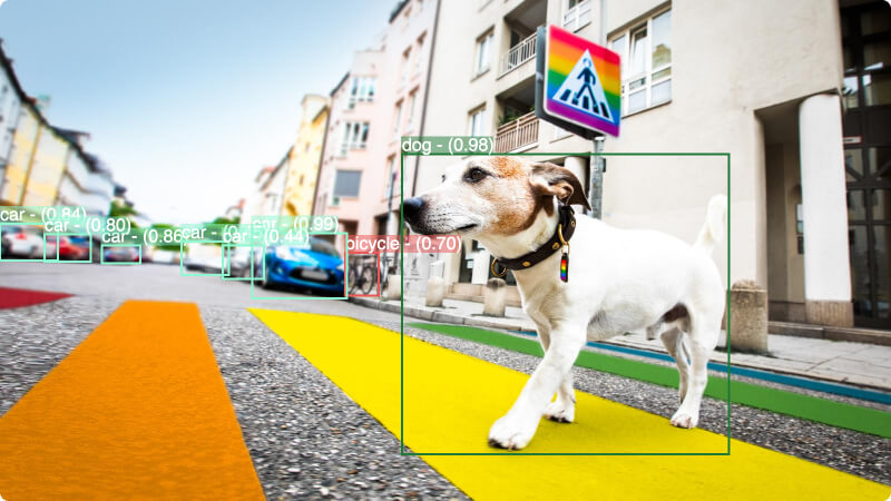 Object Recognition Dog on Street